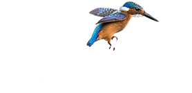 Braeme Holland Photography Logo